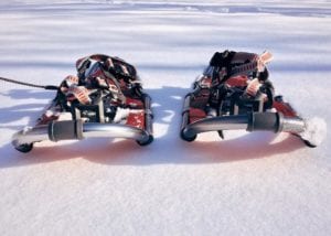 Rolling Terrain Snowshoe