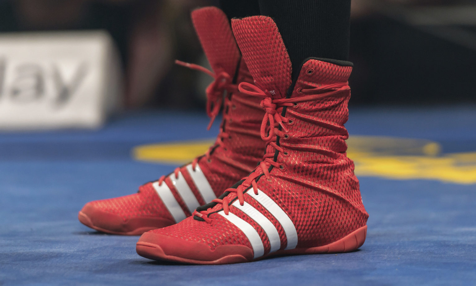 10 Best Boxing Shoes [ 2024 Reviews ] - Shoe Adviser